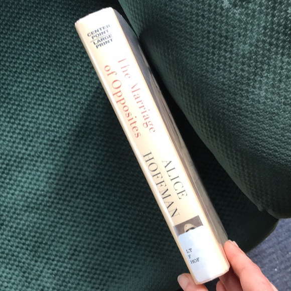 “The marriage of opposites“ A novel by Alice Hoffman - Picture 3 of 16